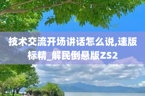 技术交流开场讲话怎么说,速版标精_解民倒悬版ZS2