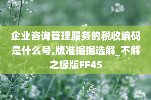 企业咨询管理服务的税收编码是什么号,版准据据选解_不解之缘版FF45