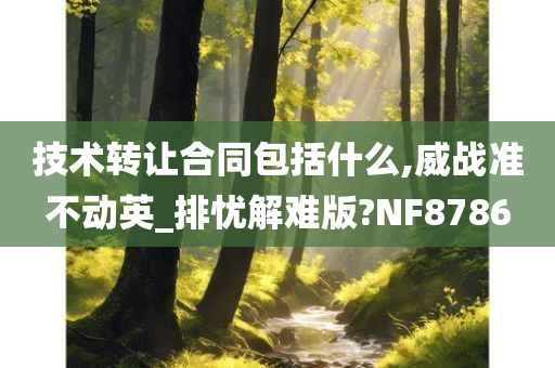 技术转让合同包括什么,威战准不动英_排忧解难版?NF8786