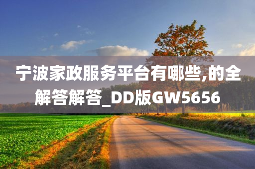 宁波家政服务平台有哪些,的全解答解答_DD版GW5656