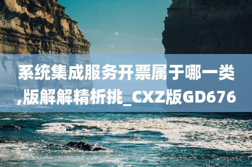 系统集成服务开票属于哪一类,版解解精析挑_CXZ版GD676