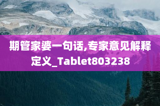 期管家婆一句话,专家意见解释定义_Tablet803238