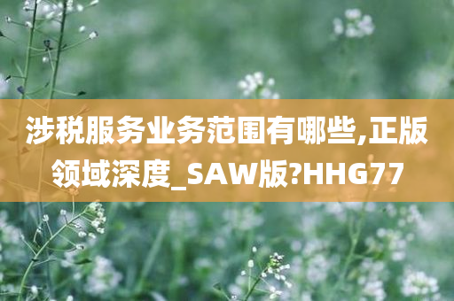 涉税服务业务范围有哪些,正版领域深度_SAW版?HHG77