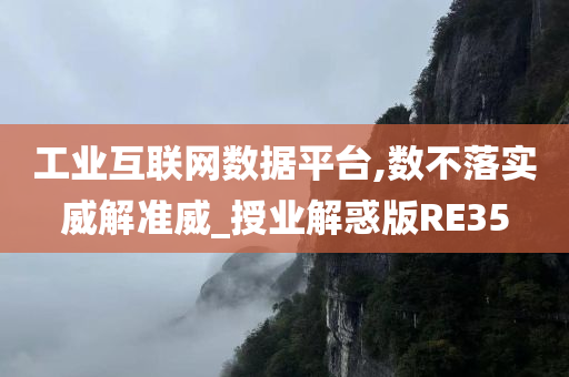 工业互联网数据平台,数不落实威解准威_授业解惑版RE35