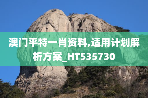 澳门平特一肖资料,适用计划解析方案_HT535730