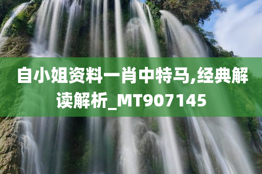 自小姐资料一肖中特马,经典解读解析_MT907145