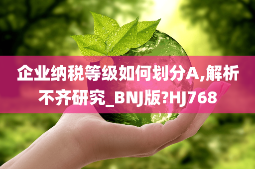 企业纳税等级如何划分A,解析不齐研究_BNJ版?HJ768