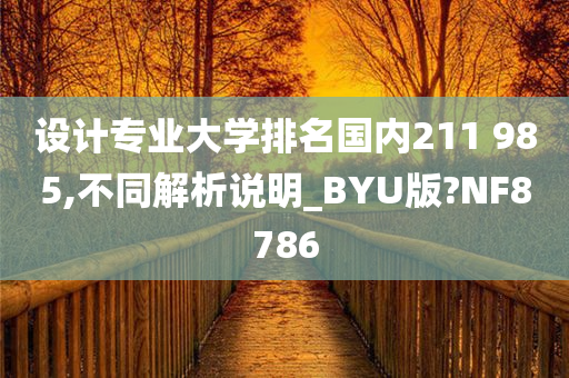 设计专业大学排名国内211 985,不同解析说明_BYU版?NF8786