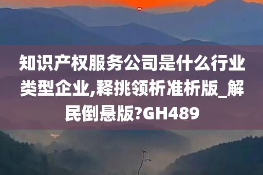 知识产权服务公司是什么行业类型企业,释挑领析准析版_解民倒悬版?GH489