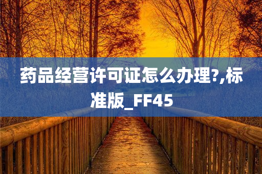 药品经营许可证怎么办理?,标准版_FF45