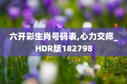 六开彩生肖号码表,心力交瘁_HDR版182798