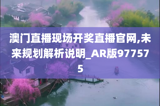 澳门直播现场开奖直播官网,未来规划解析说明_AR版977575