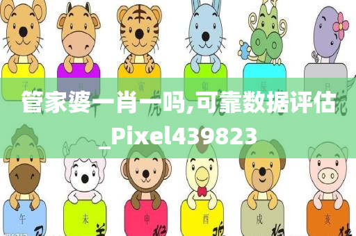 管家婆一肖一吗,可靠数据评估_Pixel439823