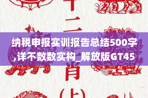 纳税申报实训报告总结500字,详不数数实构_解放版GT45