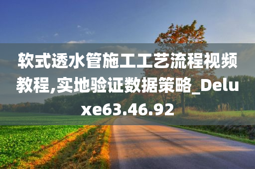 软式透水管施工工艺流程视频教程,实地验证数据策略_Deluxe63.46.92