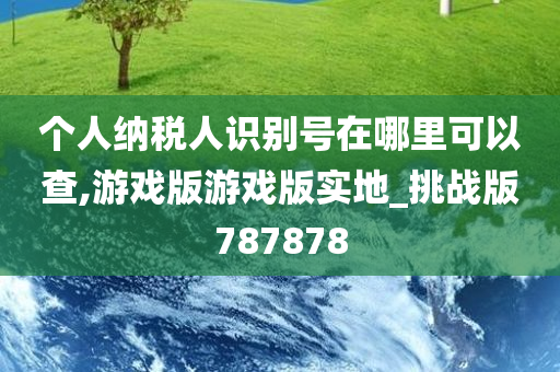 个人纳税人识别号在哪里可以查,游戏版游戏版实地_挑战版787878