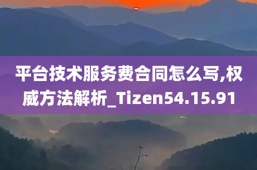 平台技术服务费合同怎么写,权威方法解析_Tizen54.15.91