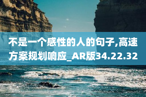 不是一个感性的人的句子,高速方案规划响应_AR版34.22.32