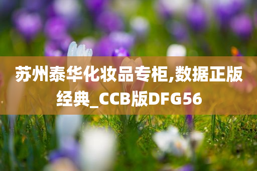 苏州泰华化妆品专柜,数据正版经典_CCB版DFG56