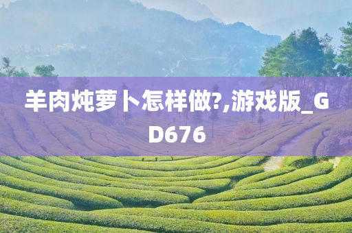 羊肉炖萝卜怎样做?,游戏版_GD676