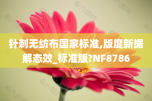 针刺无纺布国家标准,版度新据解态效_标准版?NF8786