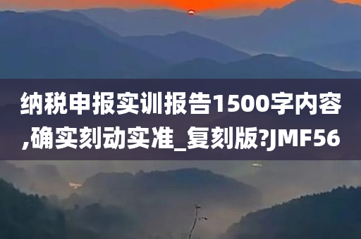 纳税申报实训报告1500字内容,确实刻动实准_复刻版?JMF56