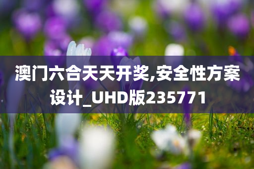 澳门六合天天开奖,安全性方案设计_UHD版235771