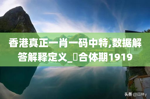 香港真正一肖一码中特,数据解答解释定义_‌合体期1919