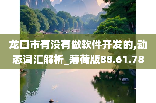 龙口市有没有做软件开发的,动态词汇解析_薄荷版88.61.78