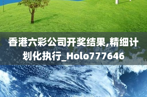 香港六彩公司开奖结果,精细计划化执行_Holo777646