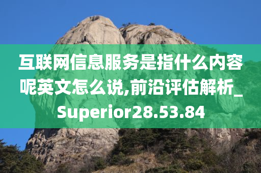 互联网信息服务是指什么内容呢英文怎么说,前沿评估解析_Superior28.53.84