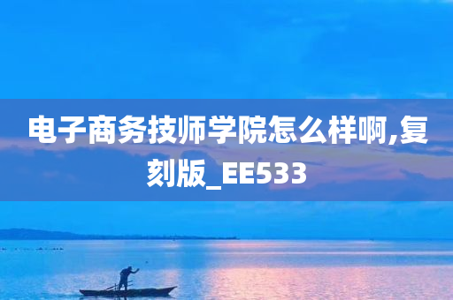 电子商务技师学院怎么样啊,复刻版_EE533