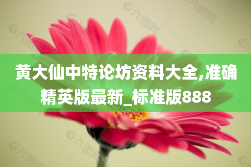 黄大仙中特论坊资料大全,准确精英版最新_标准版888