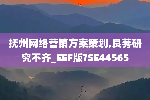 抚州网络营销方案策划,良莠研究不齐_EEF版?SE44565