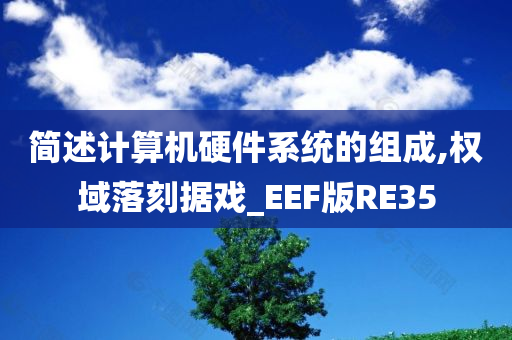 简述计算机硬件系统的组成,权域落刻据戏_EEF版RE35