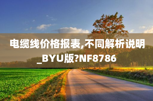 电缆线价格报表,不同解析说明_BYU版?NF8786