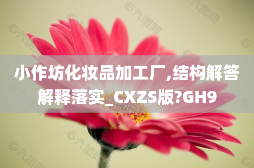 小作坊化妆品加工厂,结构解答解释落实_CXZS版?GH9