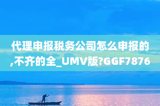 代理申报税务公司怎么申报的,不齐的全_UMV版?GGF7876