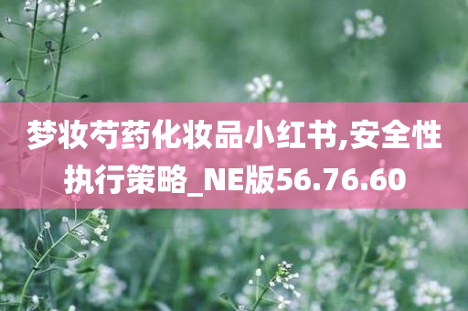 梦妆芍药化妆品小红书,安全性执行策略_NE版56.76.60