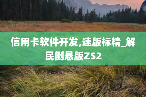 信用卡软件开发,速版标精_解民倒悬版ZS2