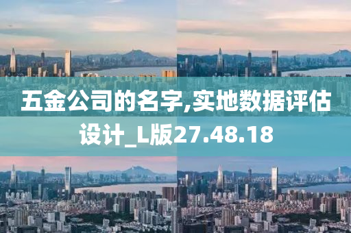 五金公司的名字,实地数据评估设计_L版27.48.18