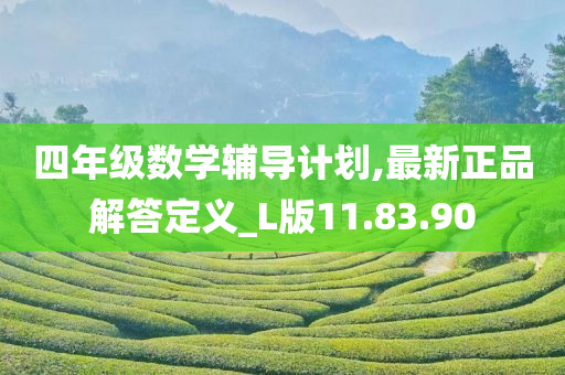 四年级数学辅导计划,最新正品解答定义_L版11.83.90