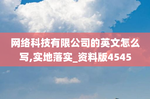 网络科技有限公司的英文怎么写,实地落实_资料版4545