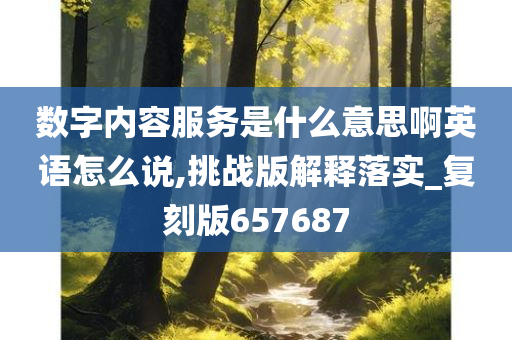 数字内容服务是什么意思啊英语怎么说,挑战版解释落实_复刻版657687