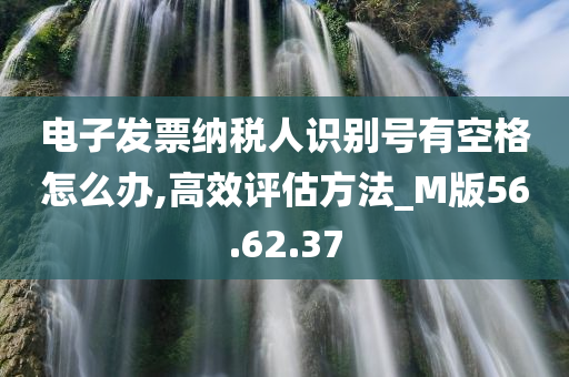 电子发票纳税人识别号有空格怎么办,高效评估方法_M版56.62.37