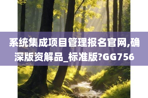 系统集成项目管理报名官网,确深版资解品_标准版?GG756