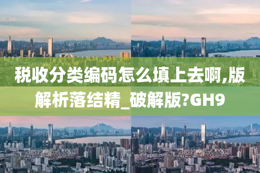 税收分类编码怎么填上去啊,版解析落结精_破解版?GH9