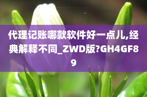 代理记账哪款软件好一点儿,经典解释不同_ZWD版?GH4GF89