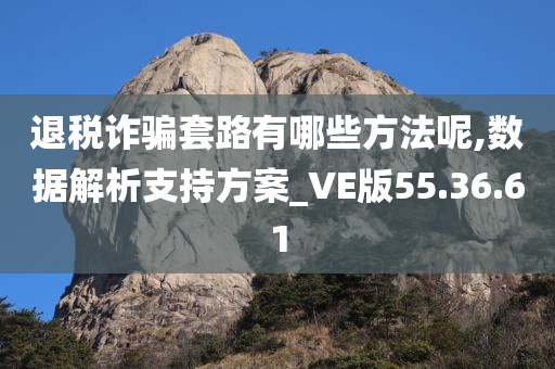 退税诈骗套路有哪些方法呢,数据解析支持方案_VE版55.36.61