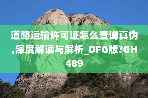 道路运输许可证怎么查询真伪,深度解读与解析_DFG版?GH489